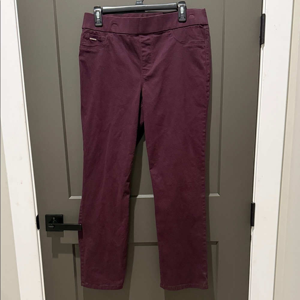 Nine West Straight-Leg pull-on Jeans in Plum
